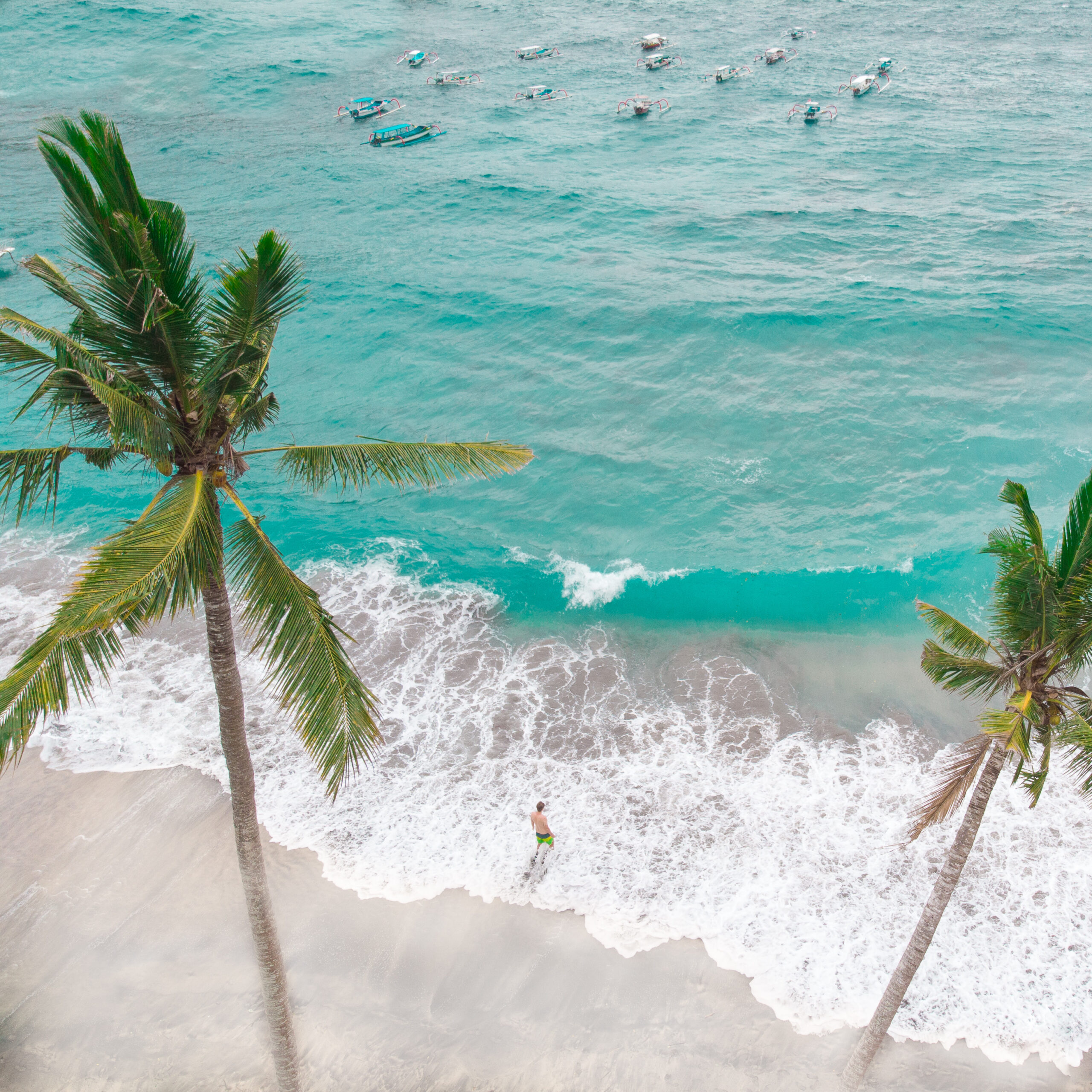 Destinos high angle view palm trees beach